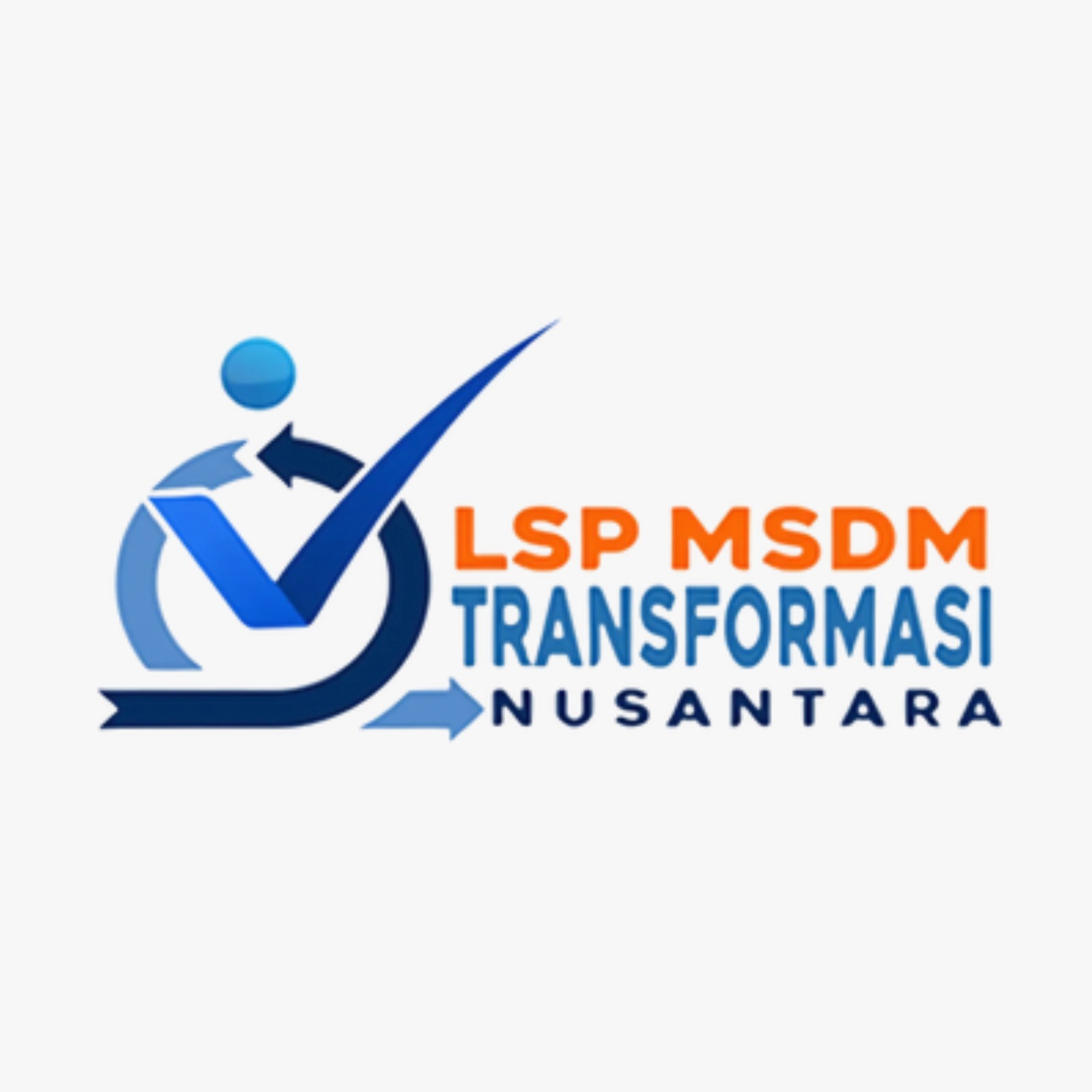 LSP MSDM
